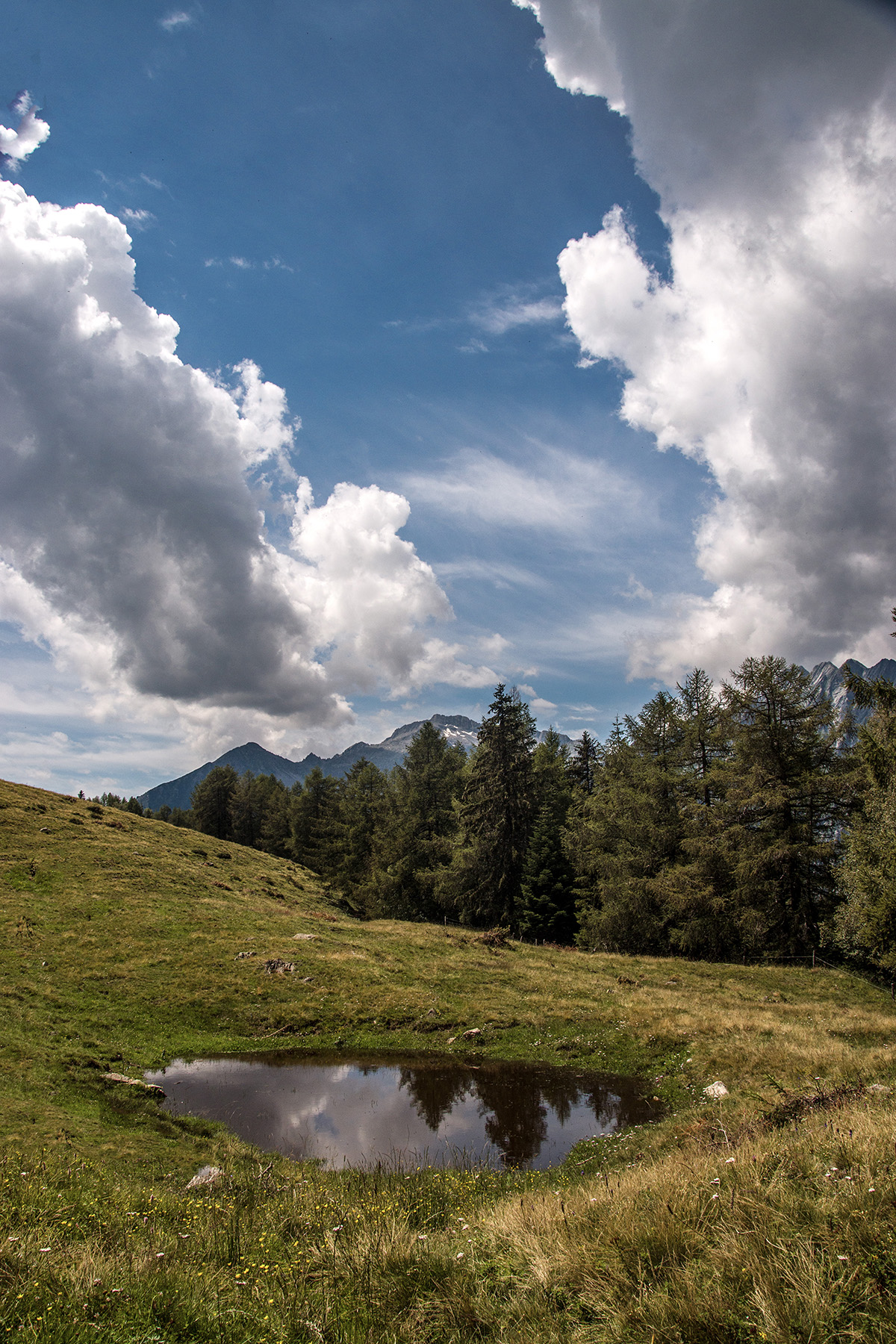 DSC_1025.jpg