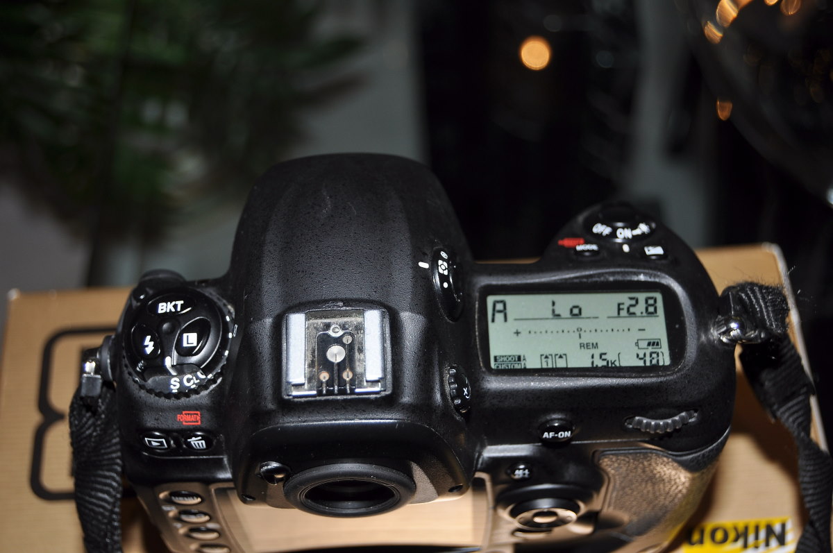 DSC_1033_00003.jpg