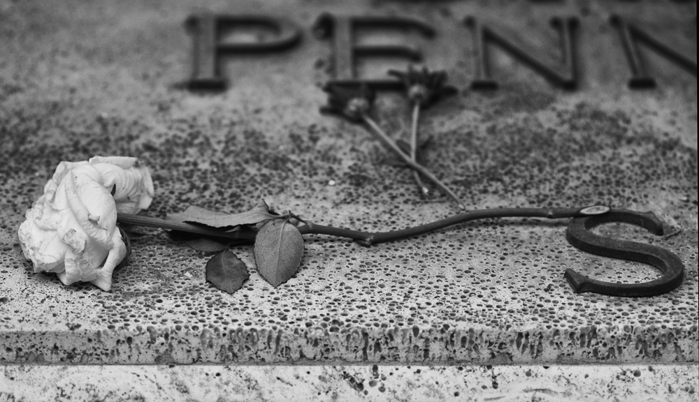 DSC_1088.jpg