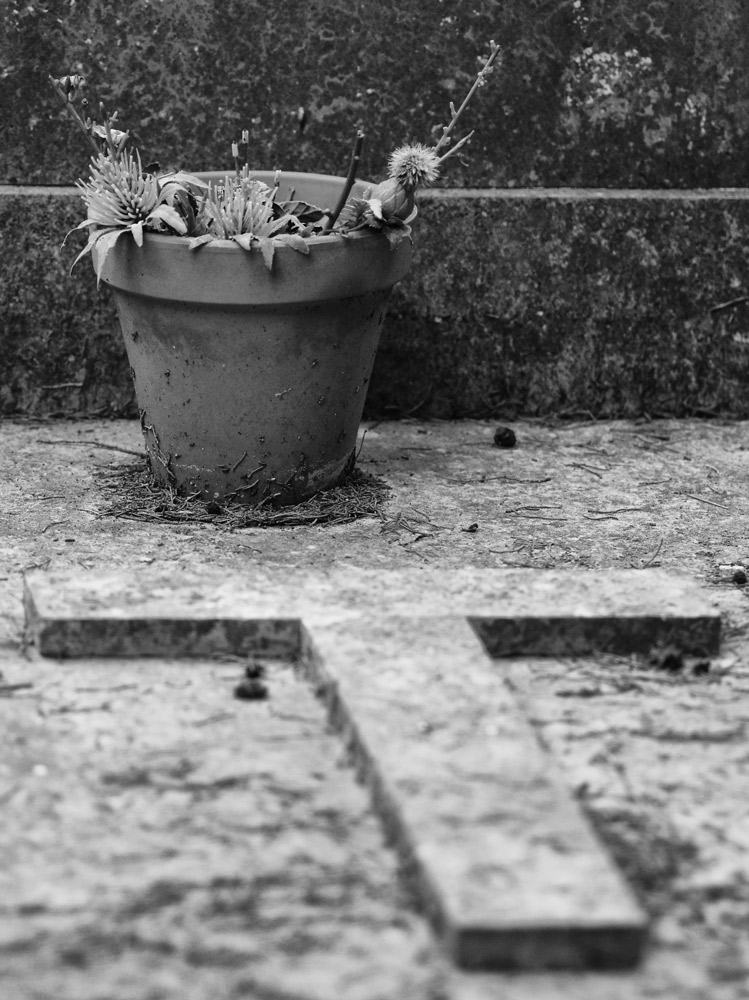 DSC_1093.jpg