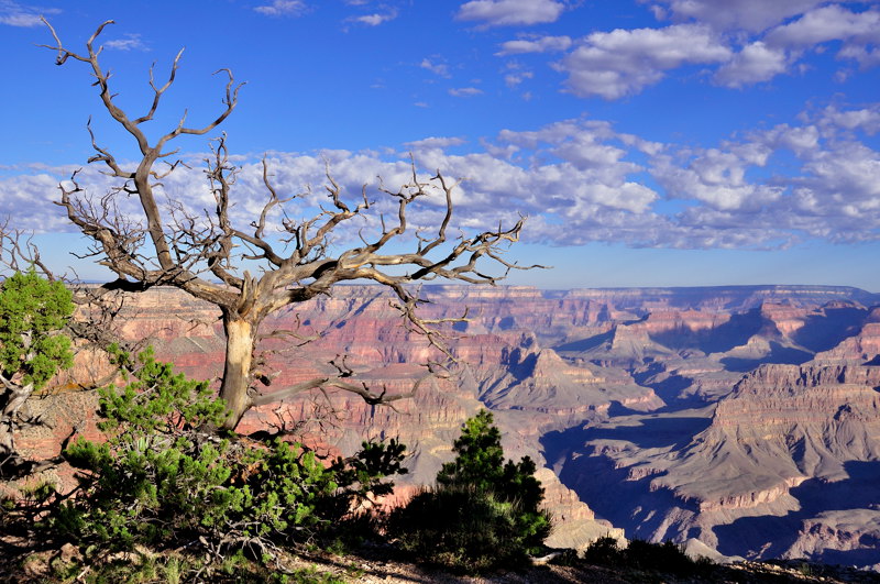 DSC_1117_r.jpg
