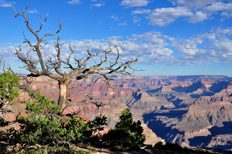 DSC_1117_r.jpg