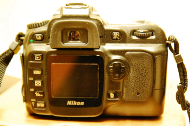 DSC_1131_01.JPG