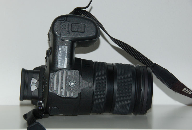 DSC_1183.jpg