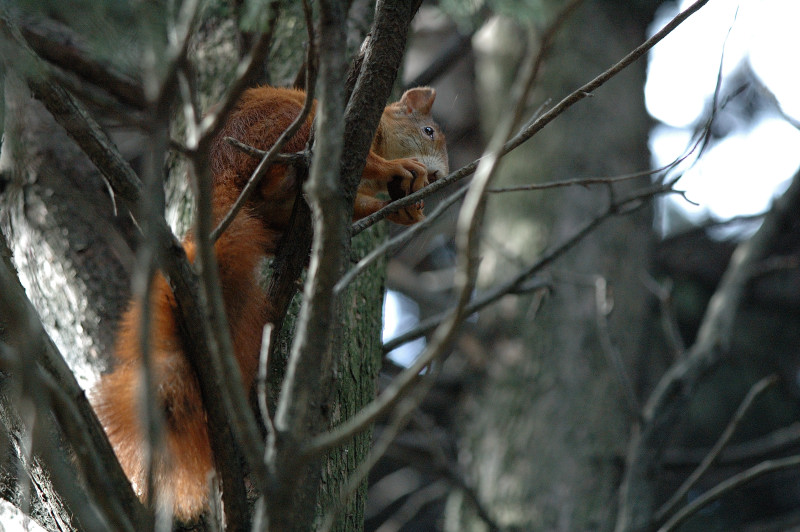 DSC_12021.JPG