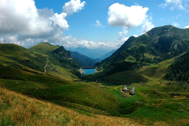 DSC_1227 (Medium).jpg