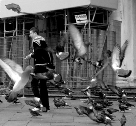 DSC_1246web.JPG