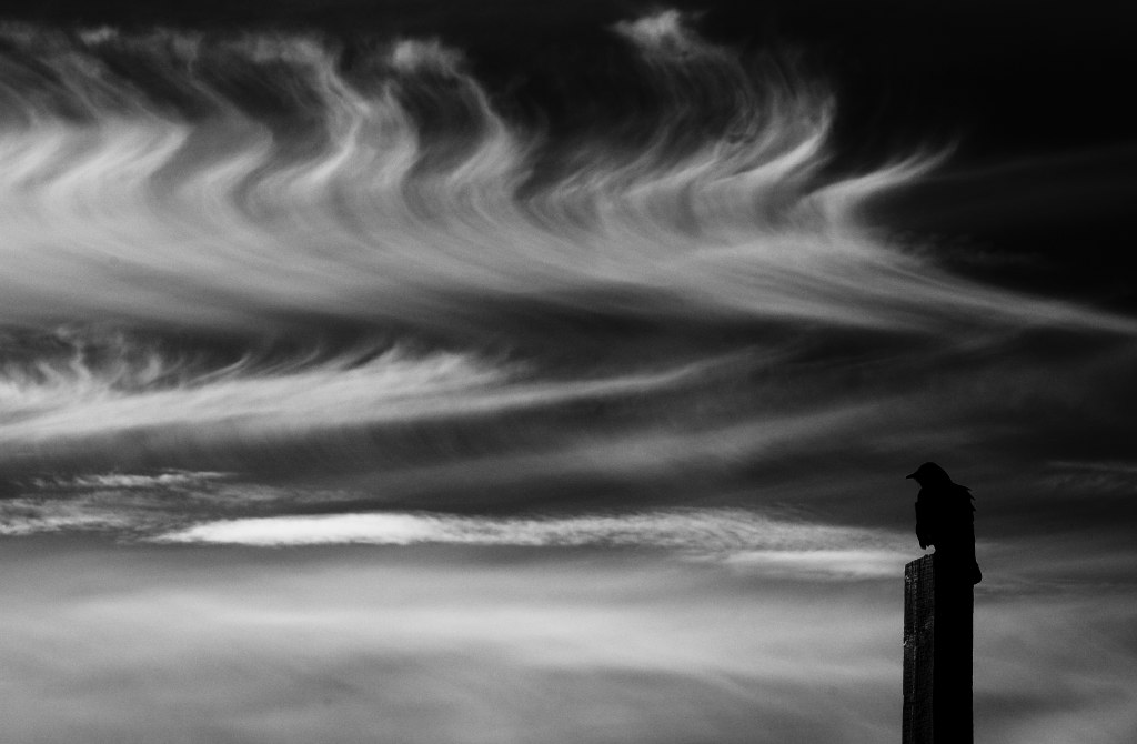 DSC_1261-Edit.JPG
