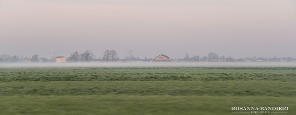 DSC_1289.jpg