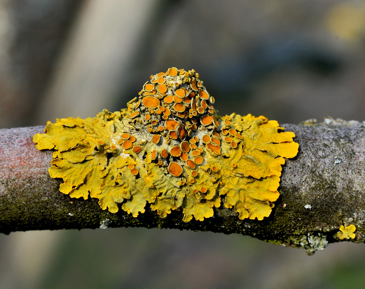 DSC_1304.jpg