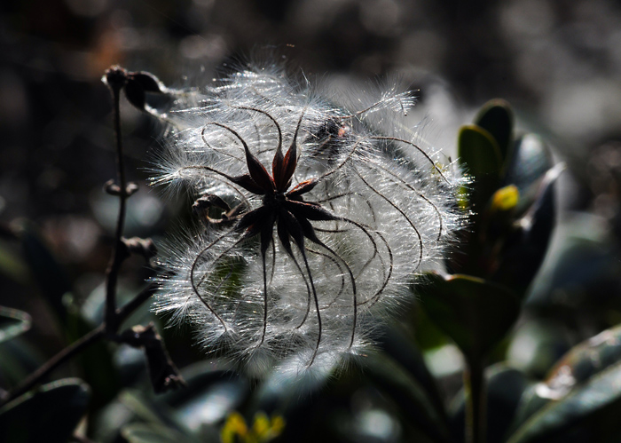 DSC_1318.jpg