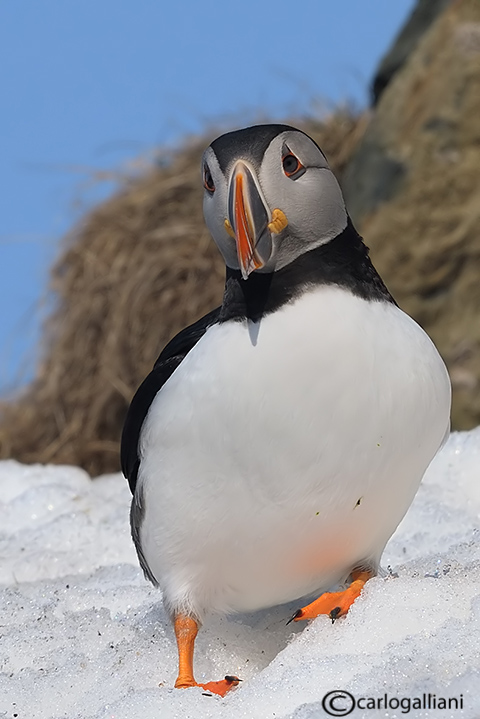 DSC_1324.jpg