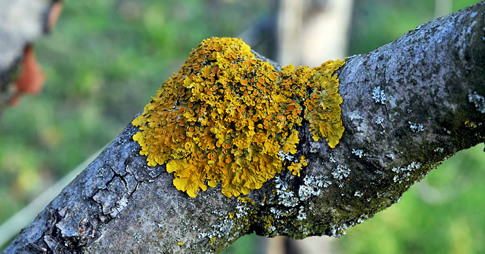 DSC_1402.jpg