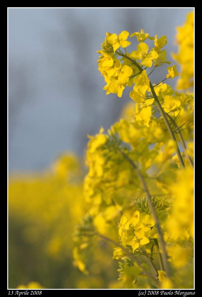 dsc_1466_lzn.jpg