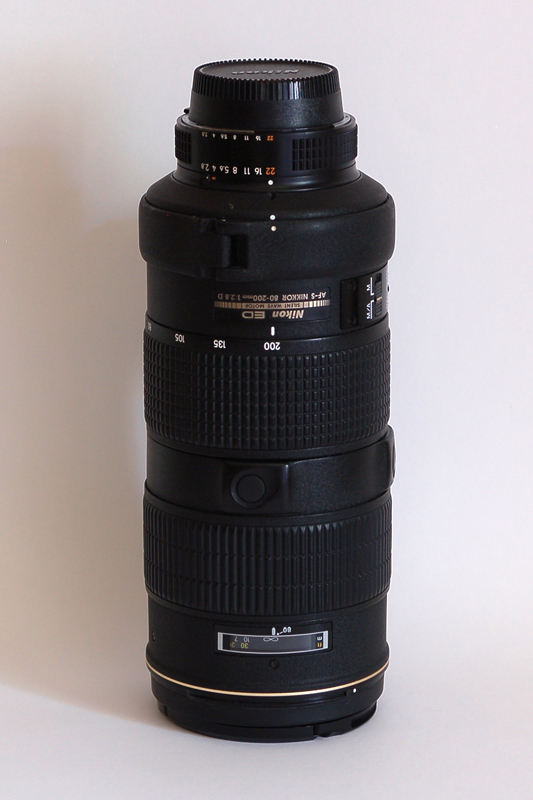 DSC_1474br.jpg