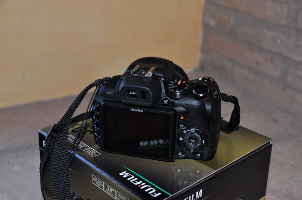 DSC_1484_ridimensionare.JPG