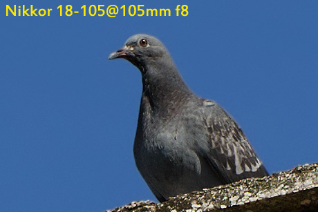 DSC_1498.jpg