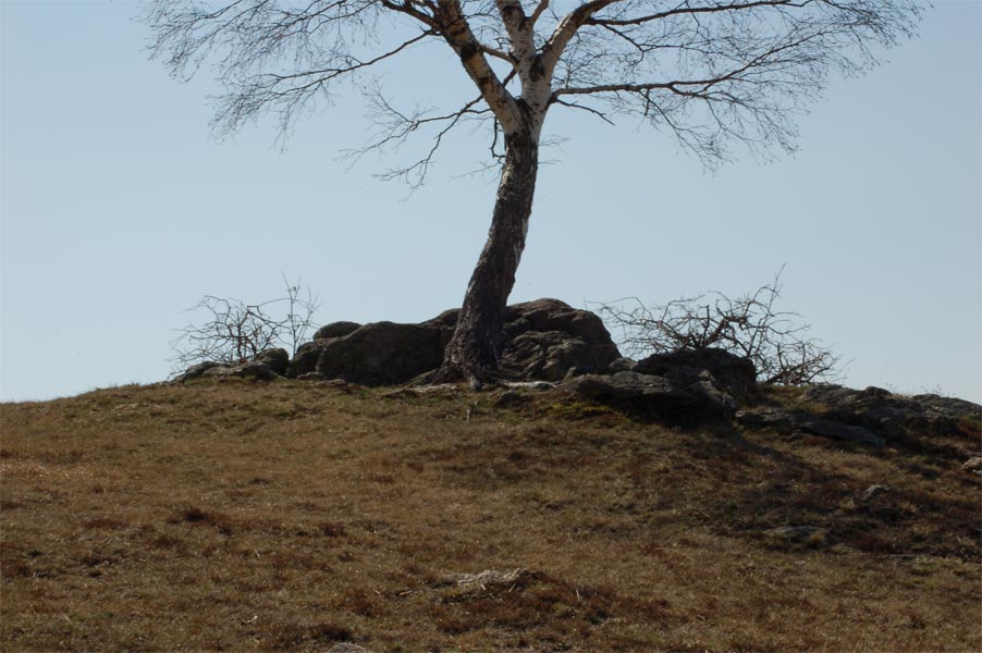 DSC_14Web.jpg