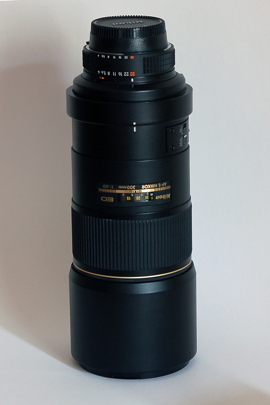 DSC_1527b.jpg