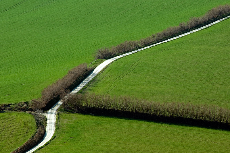 DSC_1538.jpg