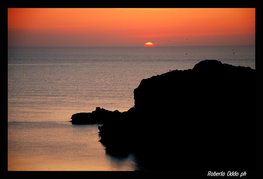 DSC_1544mo.jpg