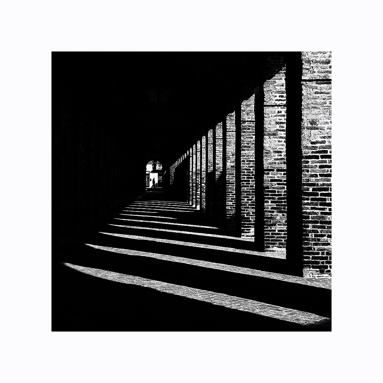 dsc_1621a_137.png