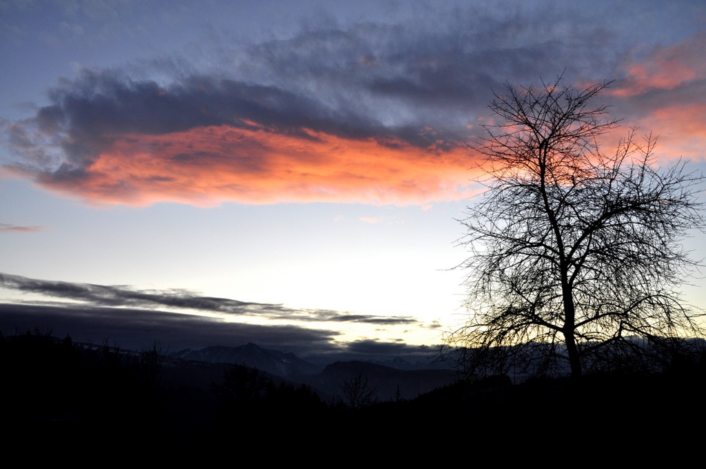 DSC_1673-1.JPG