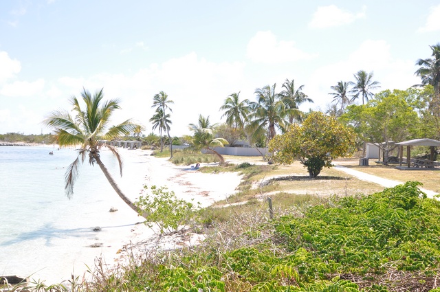 DSC_1721.jpg