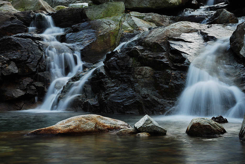 DSC_1741.jpg