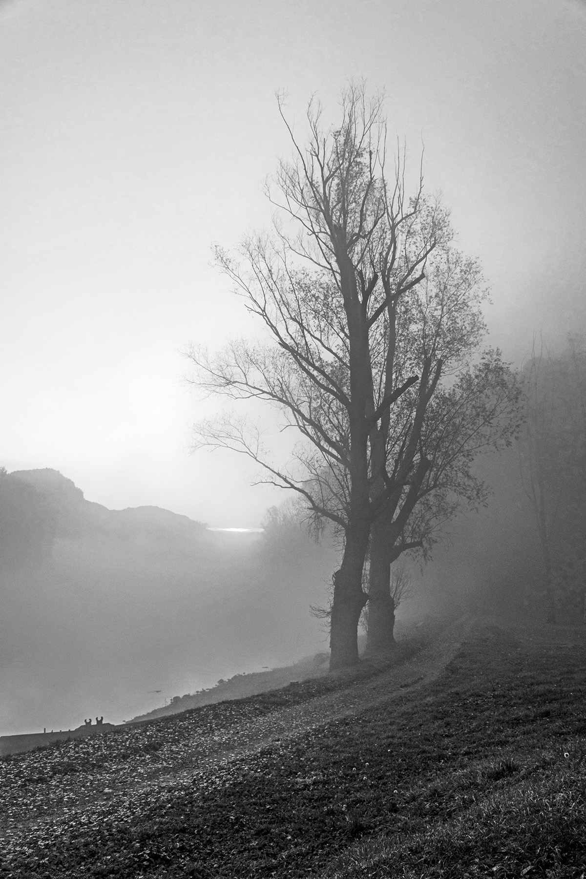 DSC_1771 - Copia.jpg