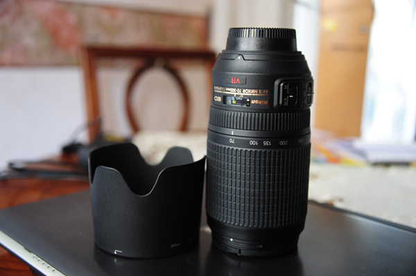 DSC_1800-200k.jpg