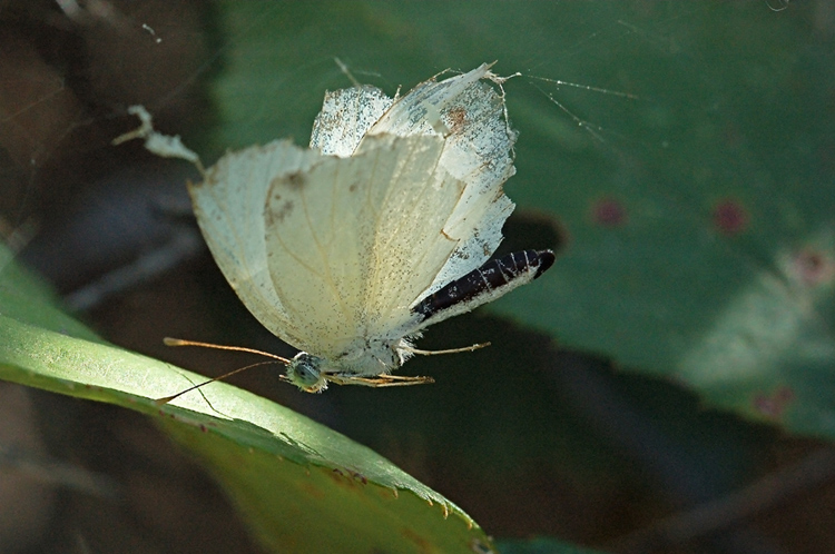 DSC_1859.jpg