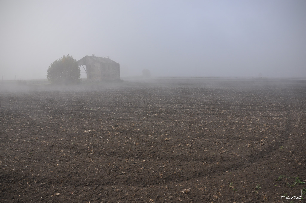 DSC_1943.jpg
