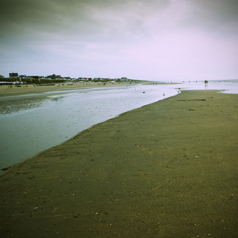 DSC_2022.jpg