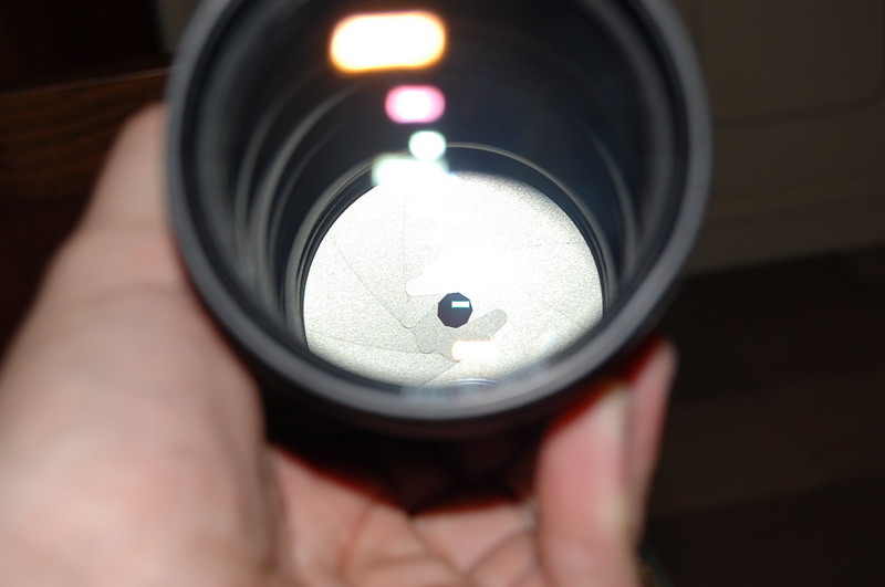 DSC_2035.JPG