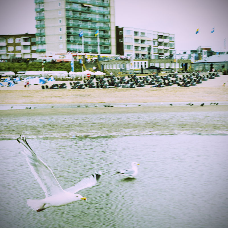 DSC_2036.jpg
