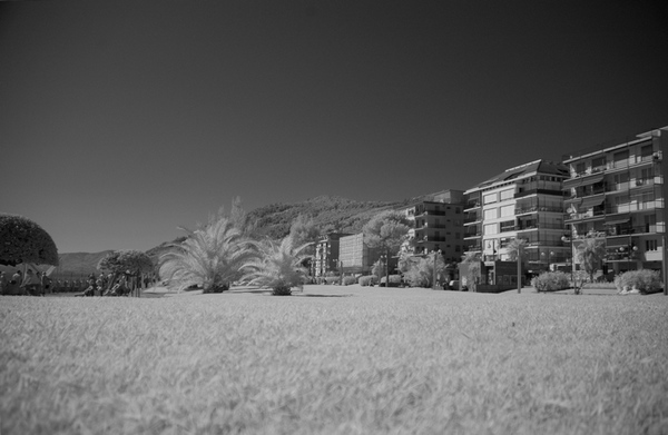 DSC_219.jpg