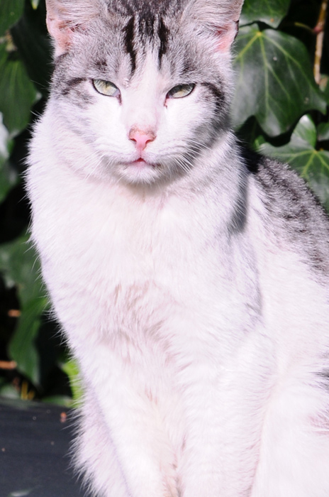 DSC_2211.jpg