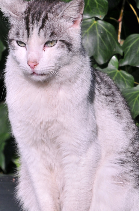 DSC_2212.jpg