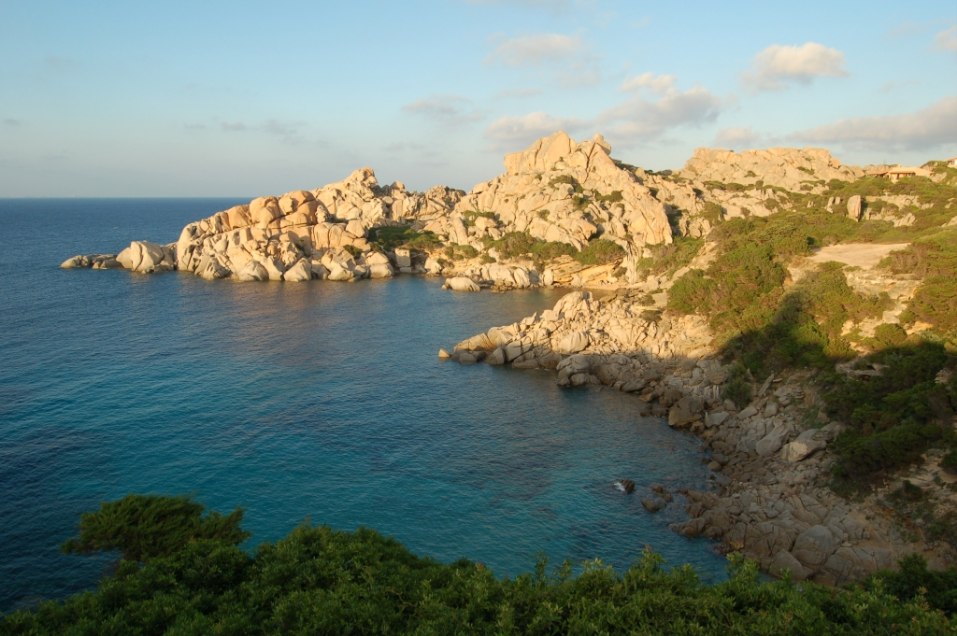 DSC_2265.jpg
