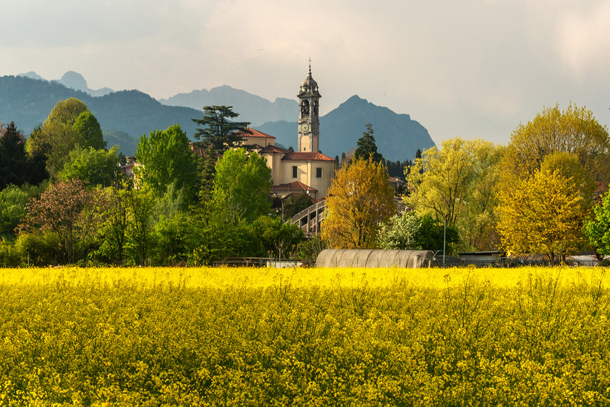 DSC_2291 - Copia.jpg