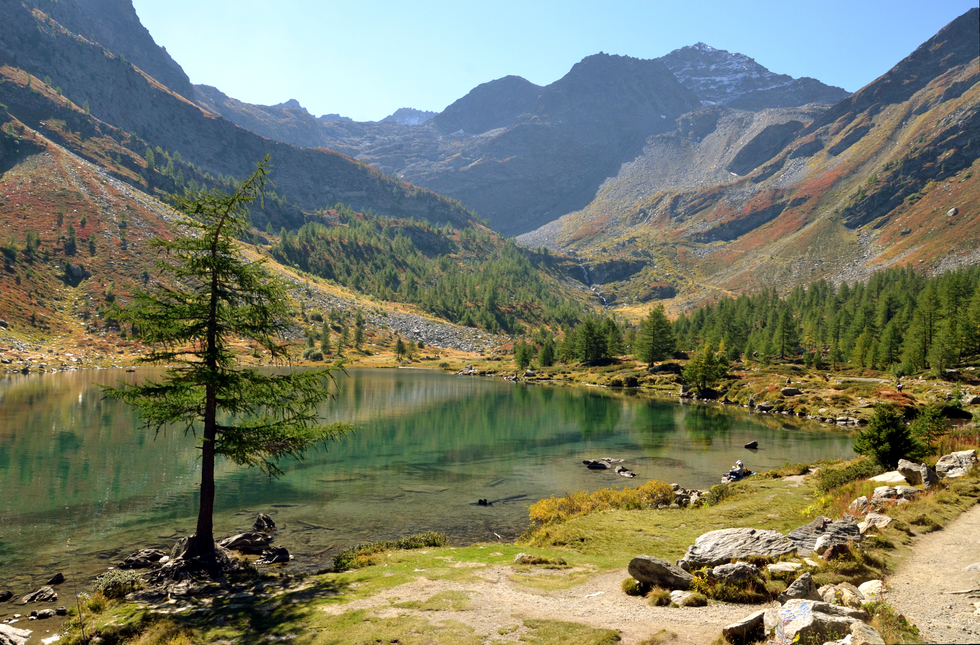 dsc_2354-1.jpg