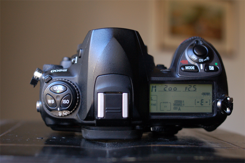 DSC_2385_rid..jpg