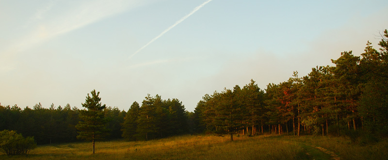 DSC_2413.jpg
