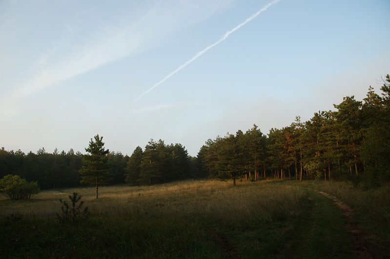 DSC_2413.jpg