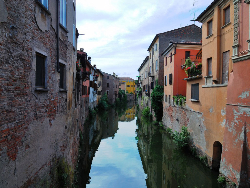 DSC_2435.jpg