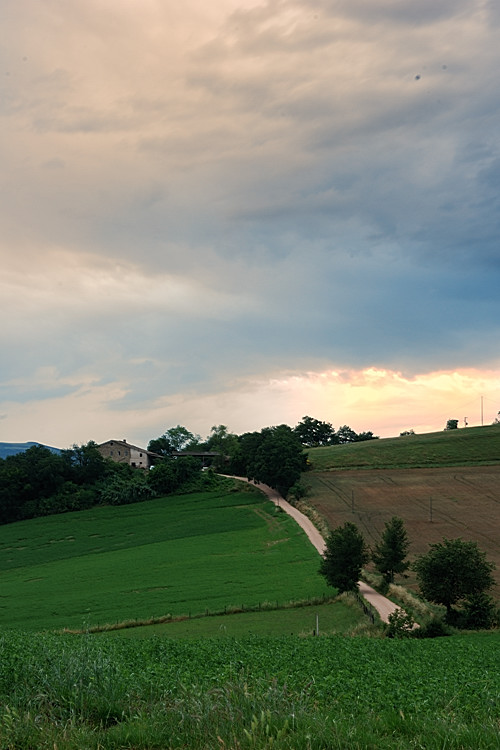 DSC_2475.jpg