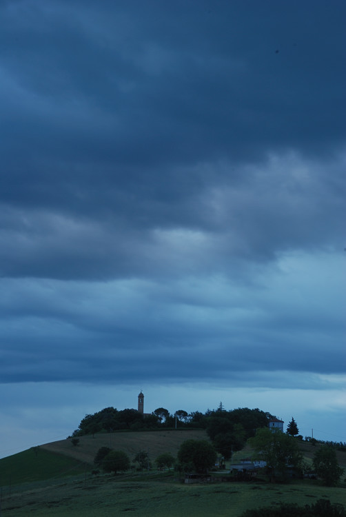 DSC_2497.jpg