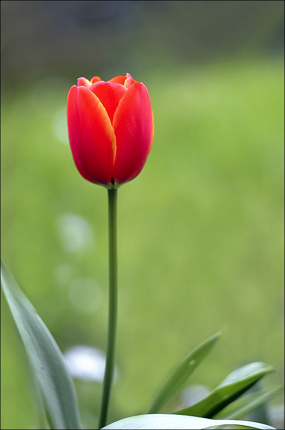 DSC_2504xyz.jpg