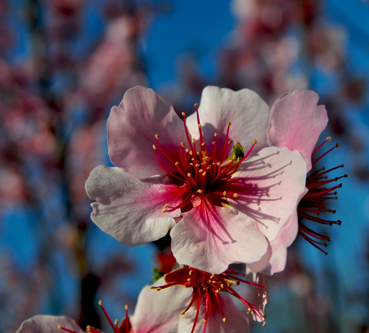 DSC_2580.jpg